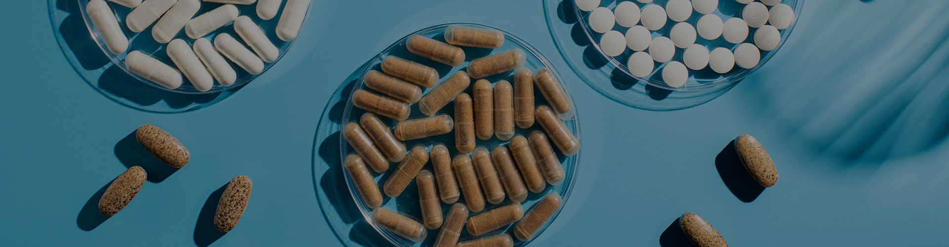 Zhejiang Tianlong Capsule Co.,Ltd.